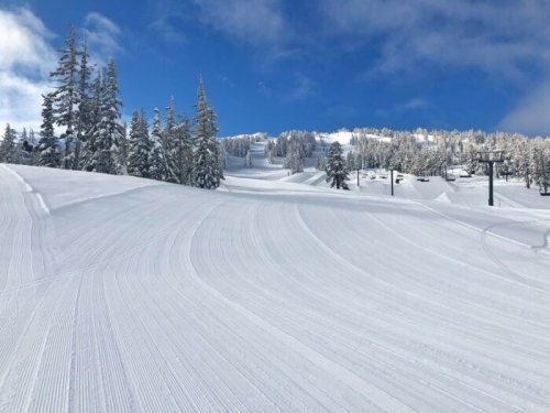 A snowy ski slope with freshly groomed trails, surrounded by tall evergreen trees under a clear blue sky.