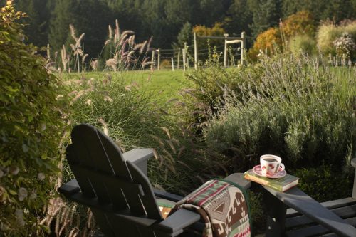A cozy outdoor scene with a chair, a cup of tea, a book, and lush greenery in the background.