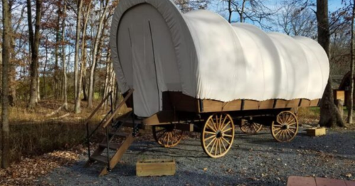 A covered wagon on wooden wheels, parked on gravel near trees in a wooded area.