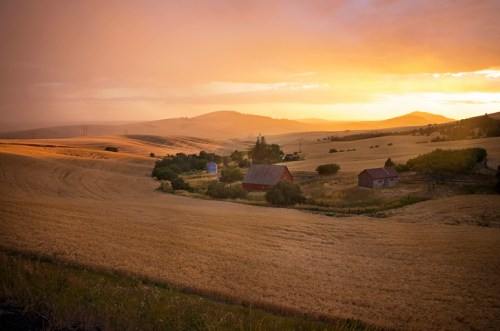 A serene landscape at sunset, featuring golden fields, a red barn, and rolling hills under a colorful sky.