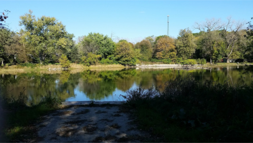 A serene pond surrounded by trees, reflecting the blue sky and greenery on a clear day.