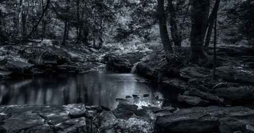 A serene black and white landscape featuring a calm pond surrounded by trees and rocks, with a small waterfall in the background.