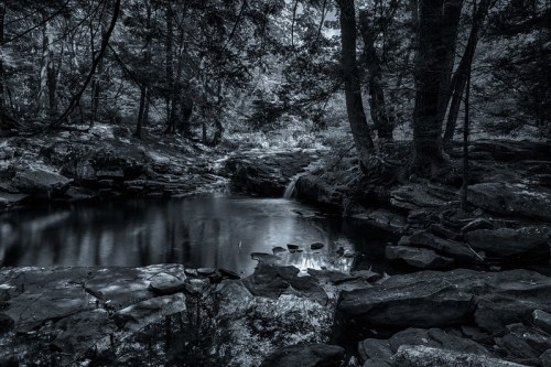 A serene black and white landscape featuring a calm pool of water surrounded by rocks and trees.