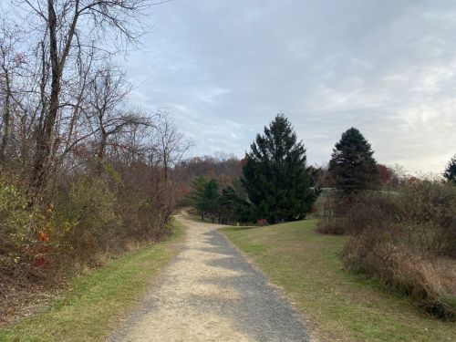 A gravel path winds through a wooded area, flanked by trees and shrubs under a cloudy sky.