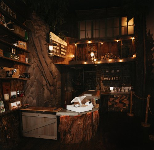 Cozy interior of a rustic shop with wooden decor, shelves, and warm lighting, featuring a reception desk made of tree trunk.