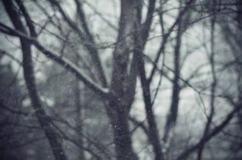 A blurred winter scene with bare trees and falling snowflakes in a gray, overcast atmosphere.