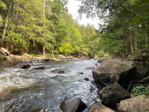 A serene river flows through a lush green forest, with large rocks lining the water's edge.