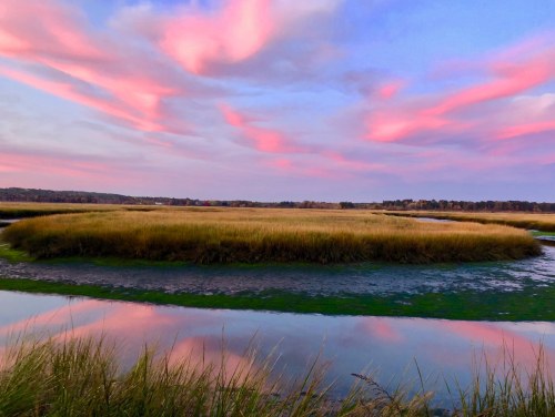 A serene landscape featuring a circular grass island surrounded by water, with pink and blue clouds in the sky.