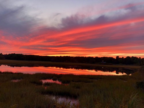 A vibrant sunset paints the sky in shades of orange and pink, reflecting on a calm water surface surrounded by grass.