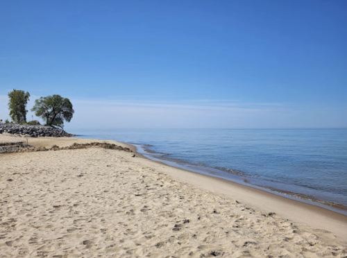 A serene beach scene with soft sand, calm water, and a clear blue sky, featuring a lone tree in the distance.