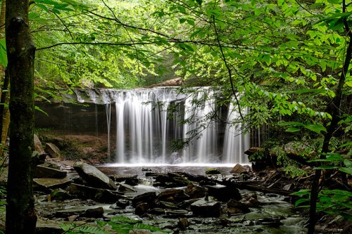 A serene waterfall cascades over rocks, surrounded by lush green foliage in a tranquil forest setting.