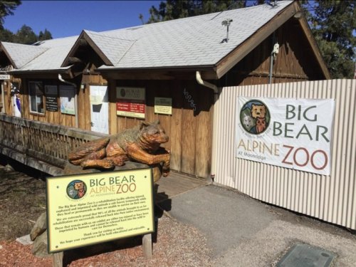 Entrance to Big Bear Alpine Zoo, featuring a wooden building and a carved bear statue in front.