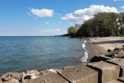 A serene lakeside view with a sandy beach, rocky shoreline, and trees under a blue sky with fluffy clouds.