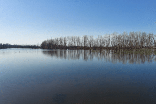 A calm, reflective lake surrounded by bare trees under a clear blue sky.