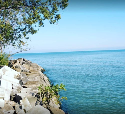 A serene view of calm water meeting a rocky shoreline under a clear blue sky, with trees in the background.