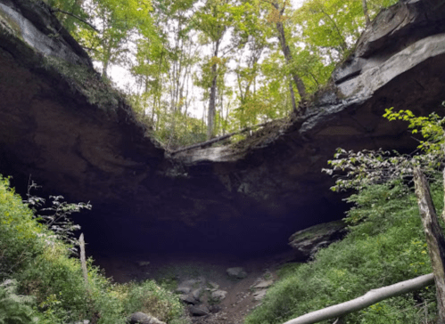 A rocky overhang surrounded by lush green trees and foliage, with a clear sky visible above.