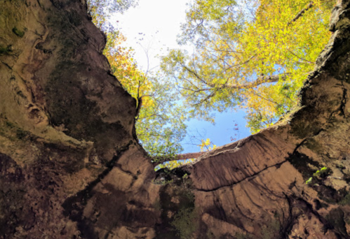 View from the bottom of a deep pit, surrounded by rocky walls and vibrant green trees against a clear blue sky.