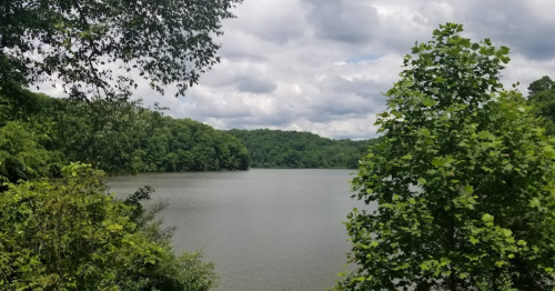 A serene lake surrounded by lush green trees under a cloudy sky.