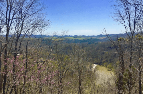 A scenic view of rolling hills and valleys, with bare trees and hints of spring blooms under a clear blue sky.