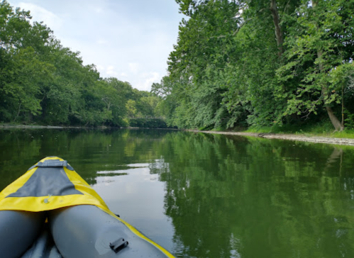 A kayak on calm water surrounded by lush green trees and a serene landscape.