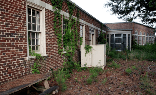 Abandoned brick building with overgrown vines and a small white structure, surrounded by tall grass and pine needles.