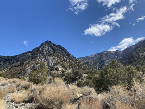 A scenic view of rugged mountains under a blue sky with scattered clouds, surrounded by dry grass and shrubs.