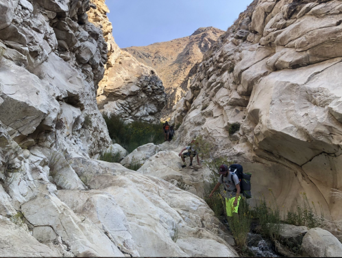Hikers navigate a rocky canyon with steep walls and sparse vegetation under a clear blue sky.