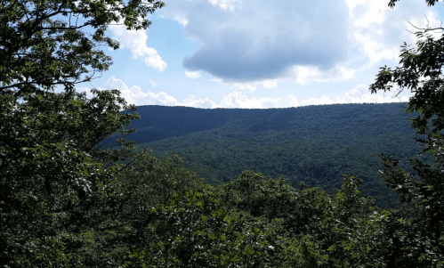 A scenic view of lush green mountains under a partly cloudy sky, framed by trees in the foreground.