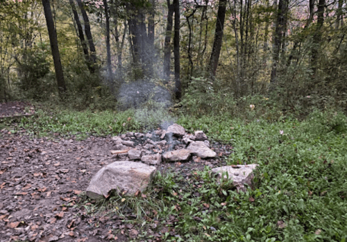 A small campfire surrounded by stones, with smoke rising in a wooded area filled with trees and fallen leaves.