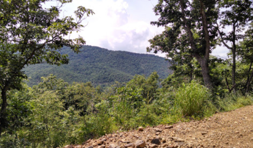 A scenic view of rolling green hills and trees under a partly cloudy sky, with a dirt path in the foreground.