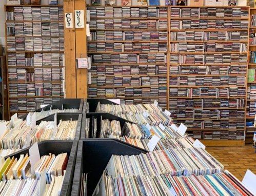 A cozy room filled with shelves of CDs and a table stacked with vinyl records and albums.