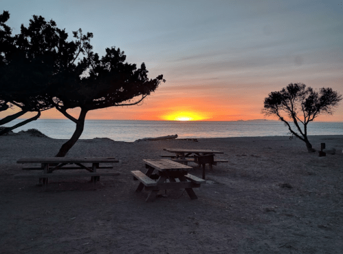 Sunset over a beach with picnic tables and silhouetted trees in the foreground. Calm water reflects warm colors.