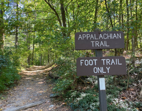A wooden sign marks the Appalachian Trail, with a path winding through a lush, green forest.