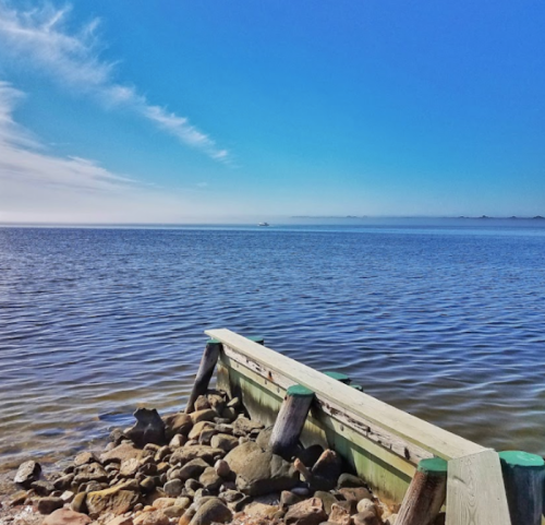 A wooden dock extends over calm water, with a clear blue sky and distant land visible on the horizon.