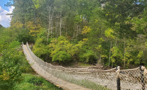 A suspension bridge spans a creek, surrounded by lush green trees and foliage under a bright blue sky.