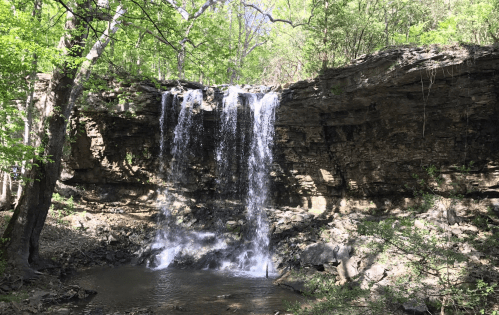 A serene waterfall cascading over rocky cliffs, surrounded by lush green trees and a calm stream below.