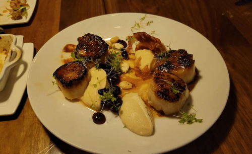 A plate of seared scallops with creamy puree, garnished with microgreens and a drizzle of sauce.