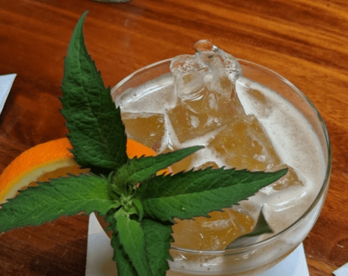 A refreshing cocktail with ice, garnished with an orange slice and fresh mint leaves, served in a glass.