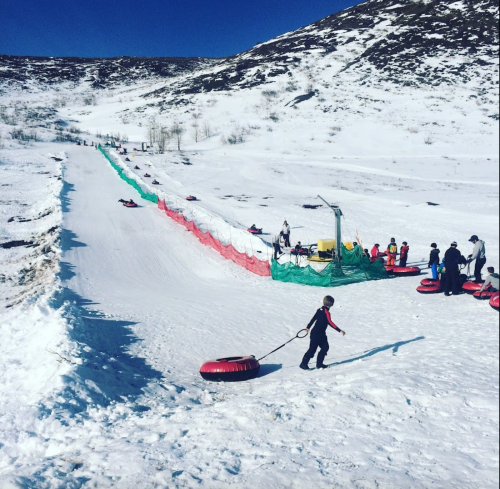 Children and adults enjoy a snowy tubing hill, pulling inner tubes up a slope under a clear blue sky.