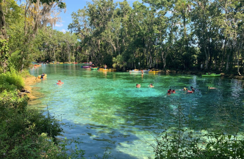 A vibrant river scene with people swimming and kayaking among lush greenery and clear blue water.