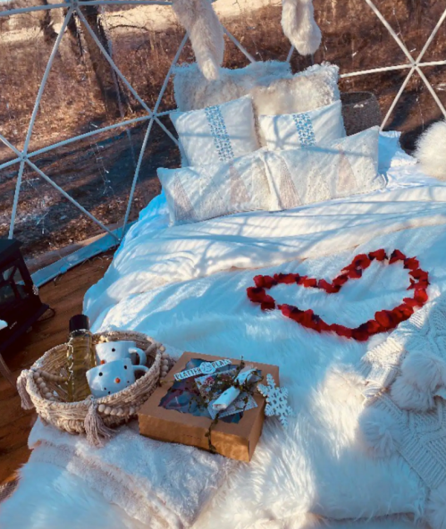 Cozy bed with fluffy blankets, heart-shaped rose petals, and a basket of treats in a serene, dome-shaped setting.