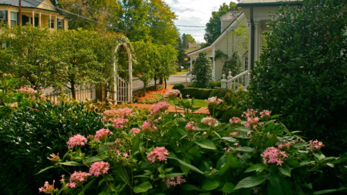 A lush garden with pink flowers, greenery, and a white archway, leading to a charming neighborhood street.
