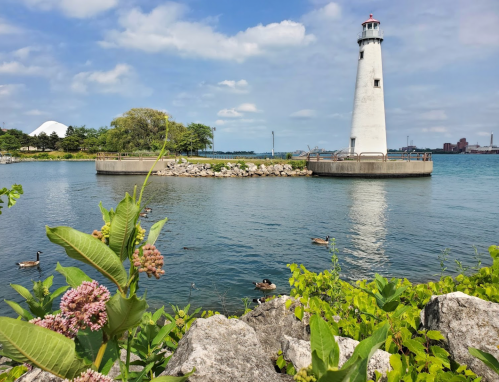 A lighthouse stands on a pier by a calm lake, surrounded by greenery and ducks swimming nearby.