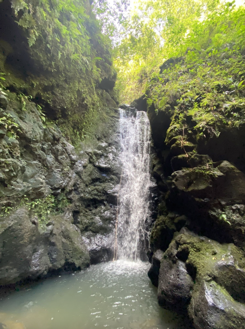 A serene waterfall cascading down rocky cliffs, surrounded by lush green foliage and a tranquil pool below.