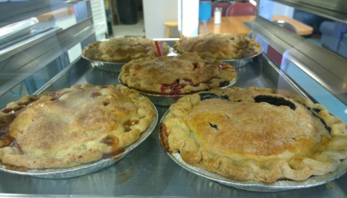 Four freshly baked fruit pies in metal tins, displayed in a glass case, with golden crusts and a dusting of sugar.