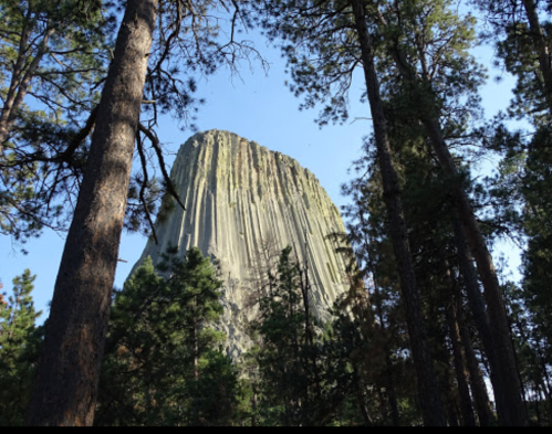 A towering rock formation rises above a dense forest of pine trees under a clear blue sky.