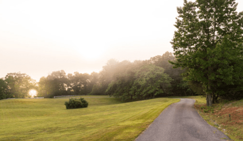 A serene landscape featuring a winding path through lush green grass and trees, with a soft morning light.