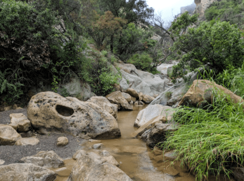 A rocky stream flows through a lush, green landscape with trees and shrubs on either side.