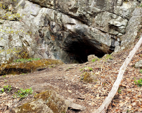 A rocky cave entrance surrounded by moss and fallen leaves, with a dirt path leading towards it.