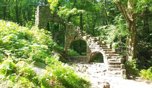 Stone ruins with arches and stairs, surrounded by lush greenery in a forest setting.